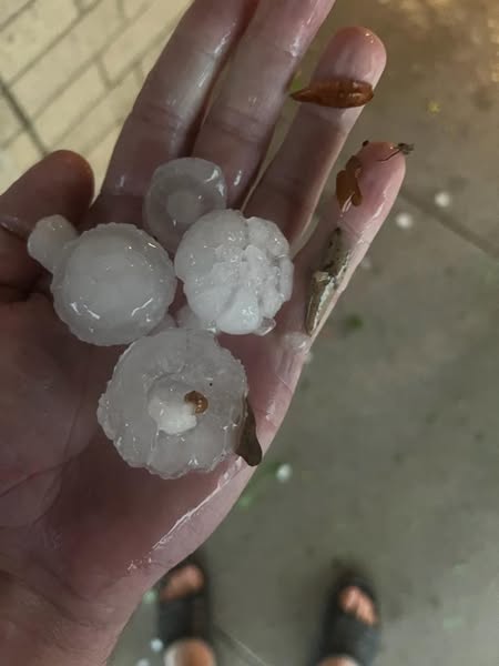 hail resistant roofing